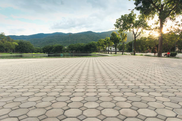 Best Commercial Driveway Pavers  in Andrews, TX